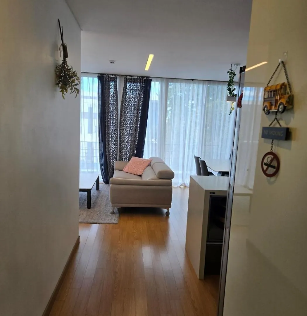 The Stay Christmas Jeju 0*,  South Korea
